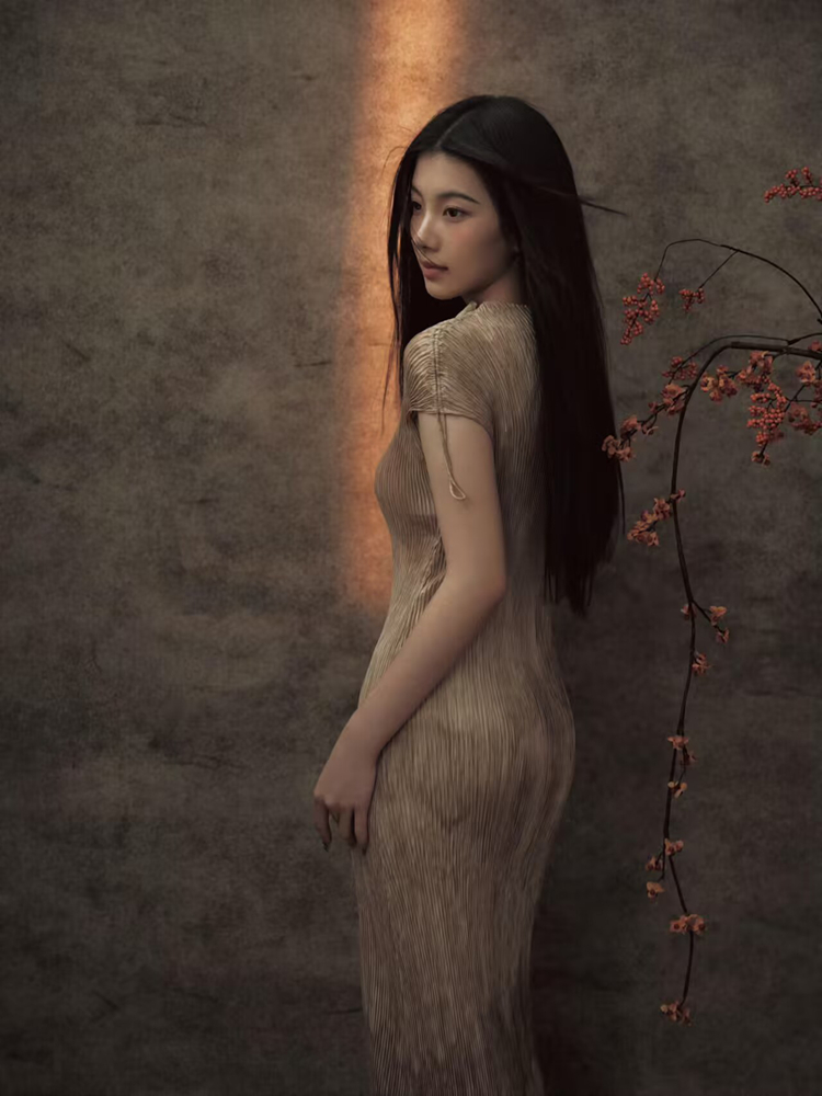 Novo 2026 Estilo Chinês Fotogr - Vintage Fashion In Chinese avaliação e preço